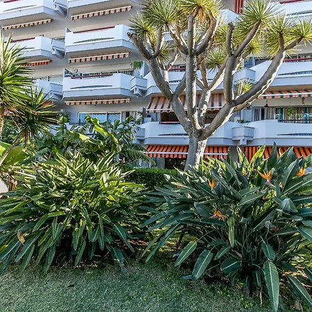 Charming Puerto Cruz, Terrace & Pool Access Appartement *